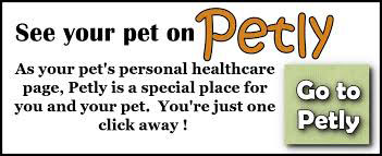 See your pet on Petly