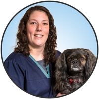 Romy Scott is one of the friendly and professional veterinary assistants at McLeod Veterinary Hospital.
