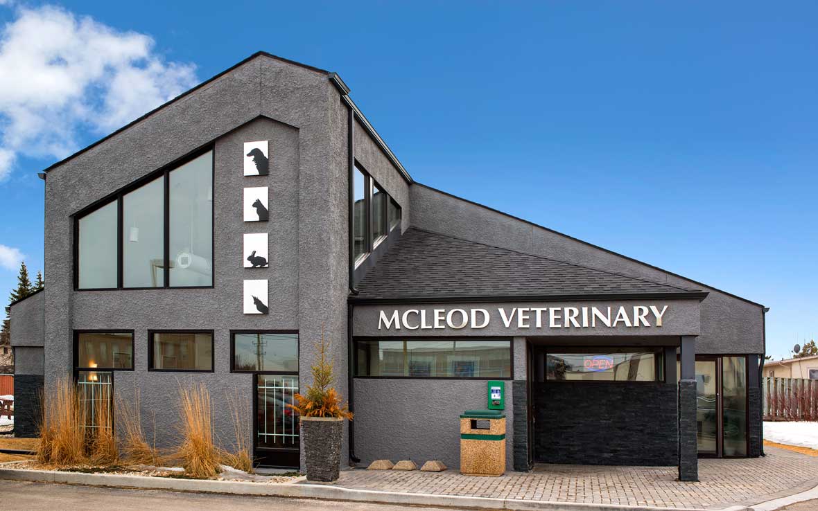 McLeod Veterinary Hospital | General Clinic Information