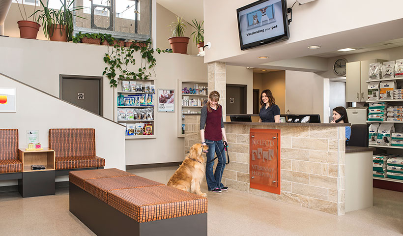 Meet our friendly staff at the Mcleod Vet Clinic